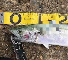 自己新記録達成