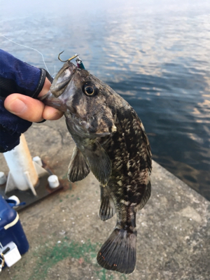 水面に湧いてる！