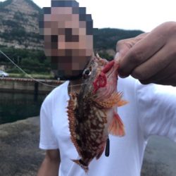 小豆島キャンプ 初ダブルヒット！！