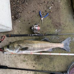 梅雨の中休みに!