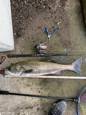 梅雨の中休みに!