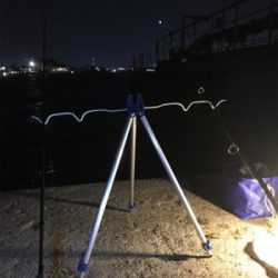 夜釣り アナゴ狙い