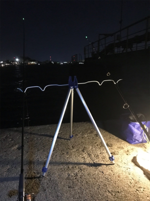 夜釣り アナゴ狙い
