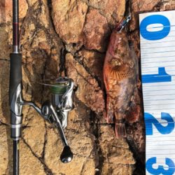 エギング→ジギング