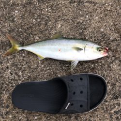 ショアジギング