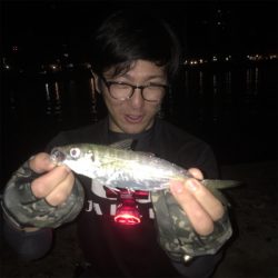 中アジ爆釣!GUNNING-STYLE