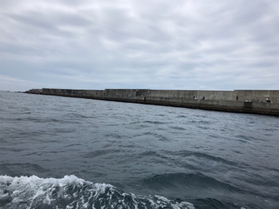 ガシラオンリー