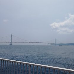 ツバスちょっと成長