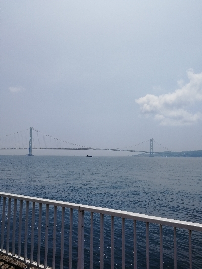 ツバスちょっと成長