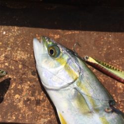 なんとかツバス