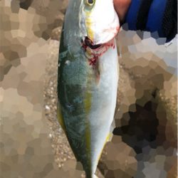 ツバッシング〜