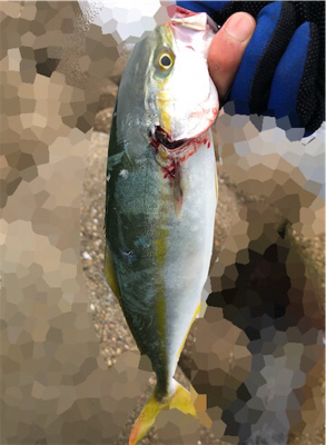 ツバッシング〜