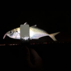 なんとか2桁アジング