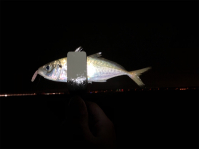 なんとか2桁アジング