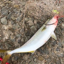 レンジって大事❗️