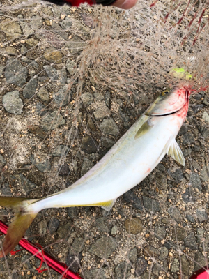 レンジって大事❗️