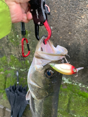 魚が掛かった途端に…