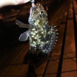 久しぶりの釣り