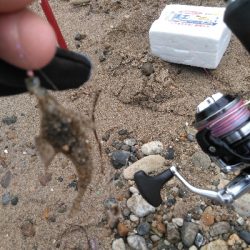 遠投したものの不発