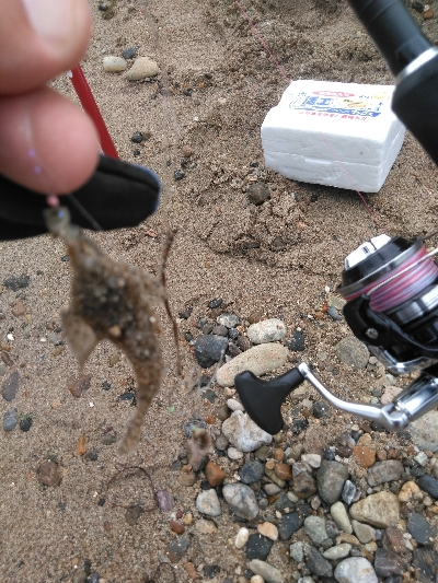 遠投したものの不発