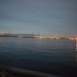 タコ→シーバス→タコ