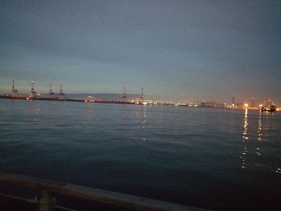 タコ→シーバス→タコ