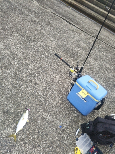 もれなくツバス