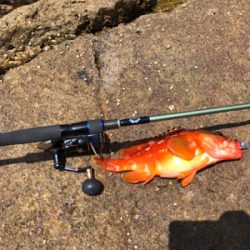 マルヒサ渡船爆釣ハタゲーム