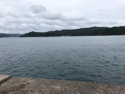 ジグサビキがハマった