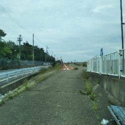 次はサヨリです!