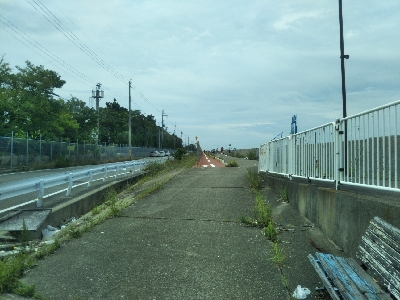 次はサヨリです!