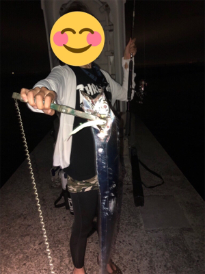 タチウオ求めて