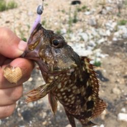 【要注意!!】針・糸放置の被害発見