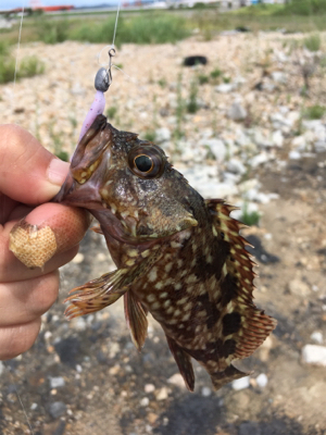 【要注意!!】針・糸放置の被害発見