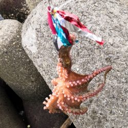 オクトパッシング