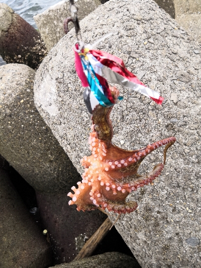 オクトパッシング