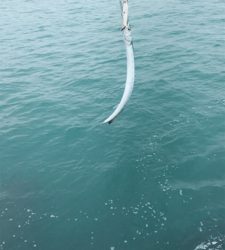 五目釣りならず…