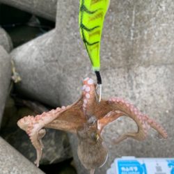 とうとう、爆ったよ！