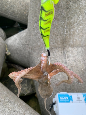 とうとう、爆ったよ！