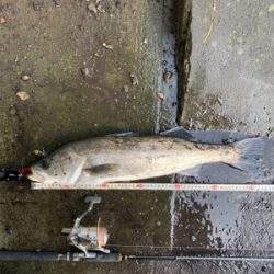 今日も早起きして(^^)v