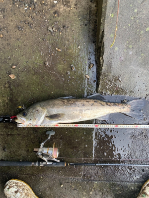 今日も早起きして(^^)v