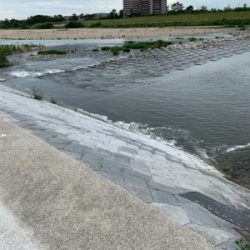 夕まづめにナマズゲーム