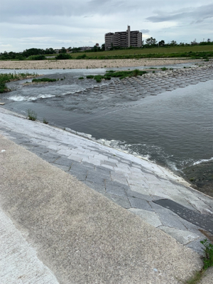 夕まづめにナマズゲーム