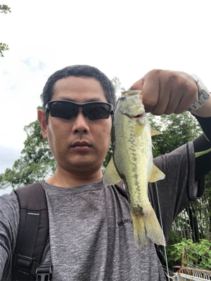 久しぶりの桂川