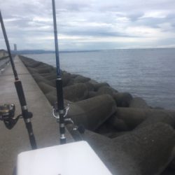 びしょ濡れでサワラ!