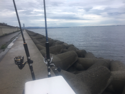 びしょ濡れでサワラ!