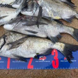 宇野沖 磯フカセ