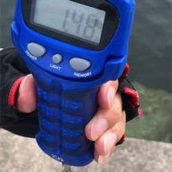 泉南‼️夏‼️エギング‼️