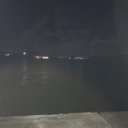 短時間タコ釣り