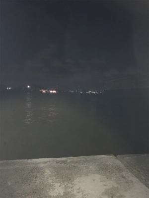 短時間タコ釣り